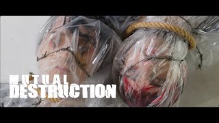 Divided Minds - Mutual Destruction 