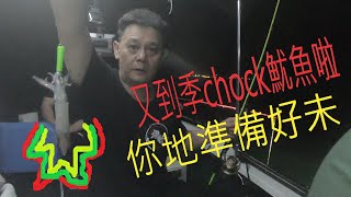 【香港釣魚】《又到季chock魷魚啦~你地準備好未》