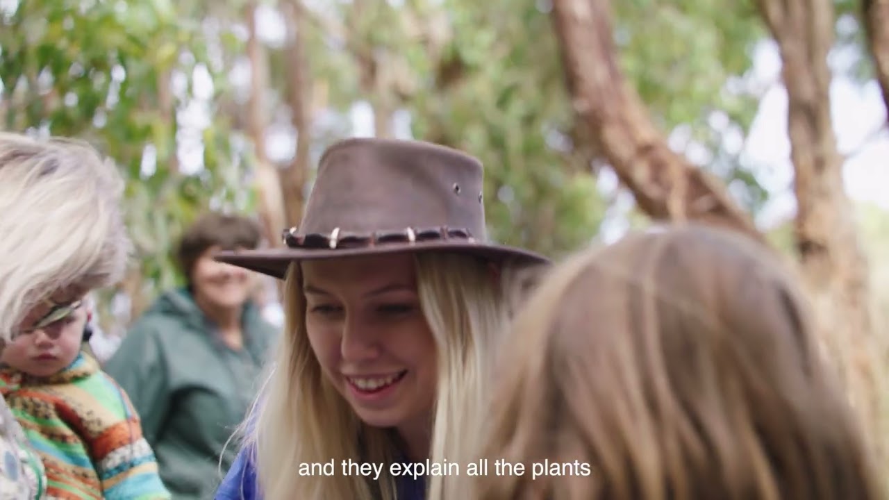 Wildlife Wonders on the Great Ocean Road