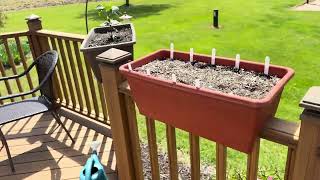 Stylish Railing Planter Boxes for Balconies & Decks