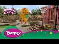 Barney|Nursery RHYMES|NEVER Give Up!