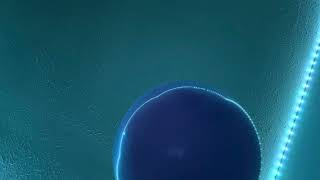Balloon episode #88512