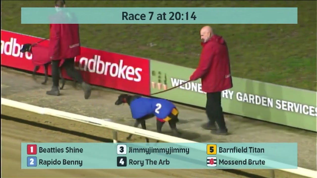 Monmore Greyhounds Races on 7th March 2026