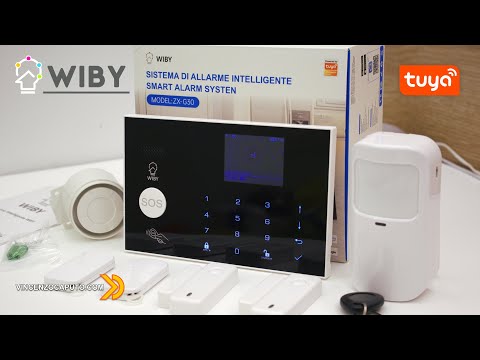 Video: Quale dei seguenti è un sistema di acquisizione di ecg wireless?