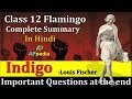 Indigo | CH-5 | 👇👇 Important Questions PDF in description | Class 12th | Flamingo