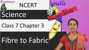 NCERT Class 7 Science Chapter 3: Fibre to Fabric (NSO/NSTSE/Olympiad) | English