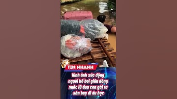 Hình ảnh xúc động người bố bơi giữa dòng nước lũ đưa con gái ra sân bay đi du học  #tinnong24h