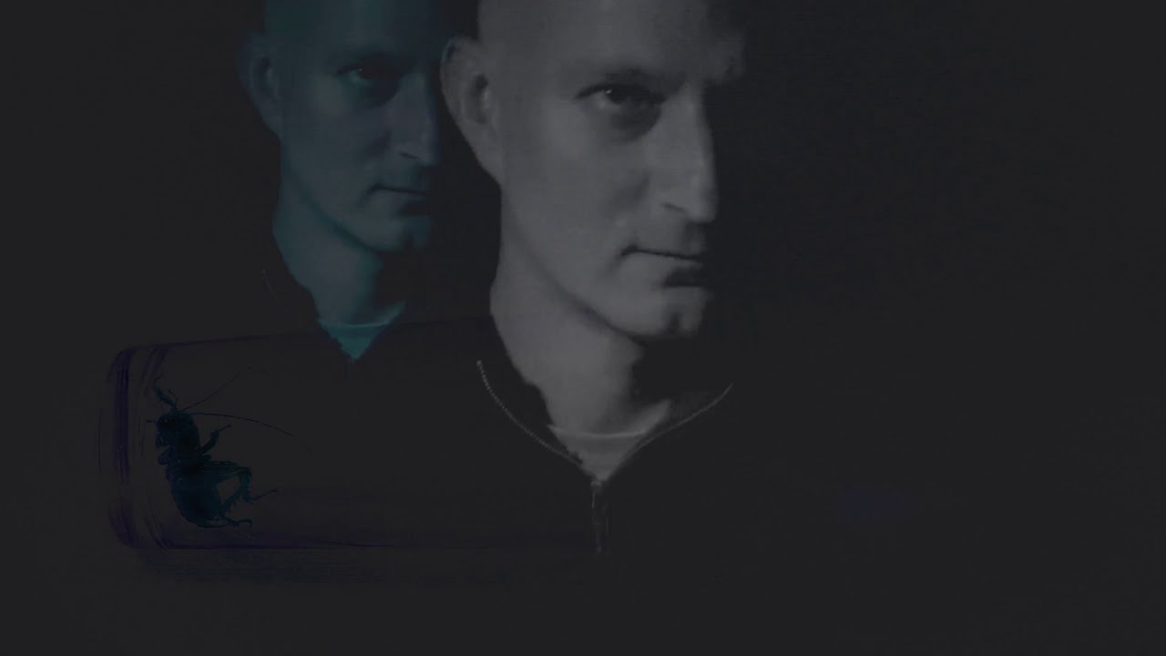 King With No Throne | Nemo | Official Music Video