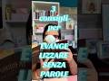 3 consigli per evangelizzare senza parole
