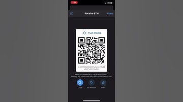 Trust Wallet Address Copy and Paste for NFT