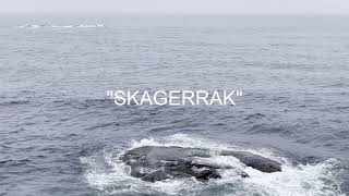 SKAGERRAK by Trygve Knudsen