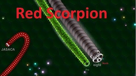 Wormax.io Noob vs. Pro