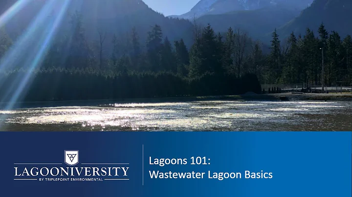 Lagoons 101: Wastewater Lagoon Basics