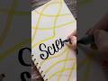 Diy tutorial front page idea science shorts nhuandaocalligraphy calligraphy handlettering diy