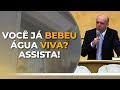 VOCÊ JÁ BEBEU ÁGUA VIVA?