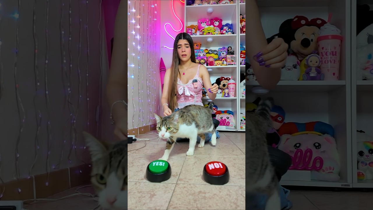 Mi GATITA BEBÉ escoge SI O NO😱🫣