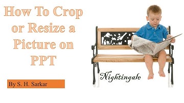How to Crop or Resize a Picture on PPT
