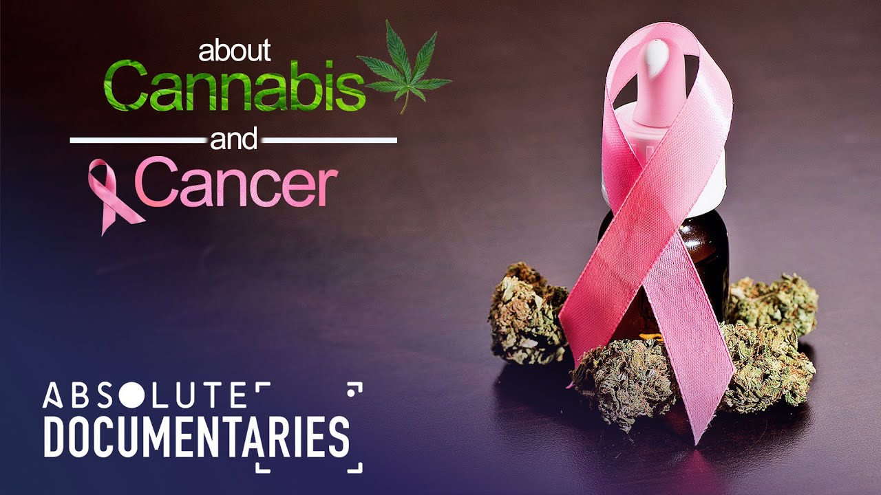 Unveiling the Healing Power: Cannabis in Cancer Treatment | Absolute Documentaries