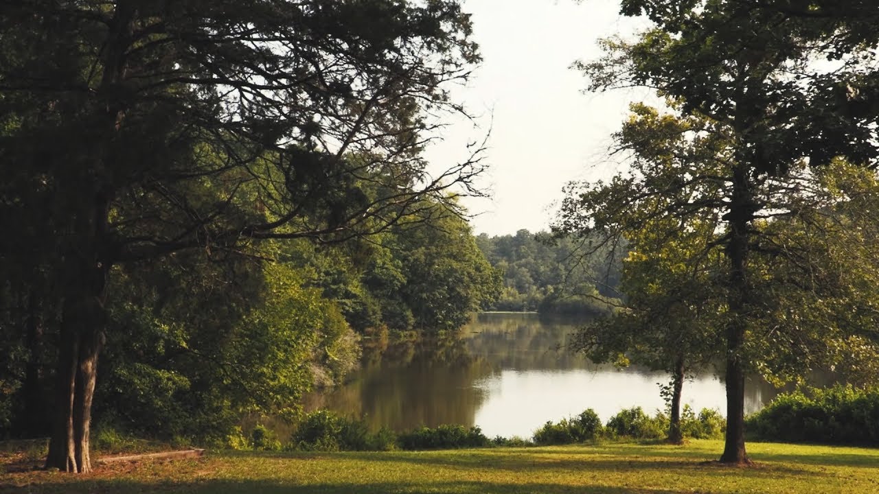 Backyard Paradise: Transforming Your Georgia Oasis