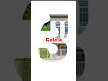 สอนใน 1 นาที เทคนิค Double Exposure ในตัวหนังสือบน Photoshop #สอนโฟโต้ชอป #สอนออกแบบกราฟิก #adobe