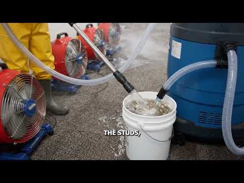 Video thumbnail: Mold Remediation After a Flood in NYC: The First 48 Hours