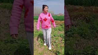 Farmworkers Real-Life Adventure In The Fields