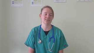 Meet our Team! - Steph (Vet Assistant)