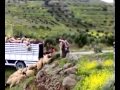 شلونك بهالعيد شلونك بهالعيد