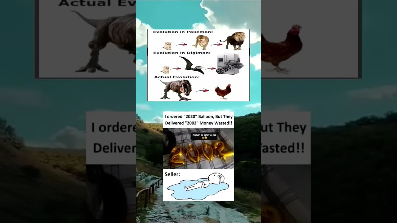 Meme Of The Day Memes