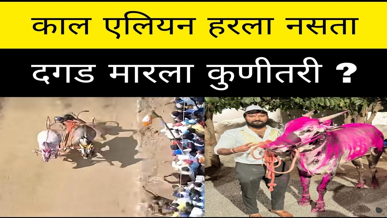 काल मुंबई येथे झालेल्या भुंगा सैराट विरुद्ध मेहेरबान एलियन लढती मध्ये एलियन ला दगड कुणी मारला ?