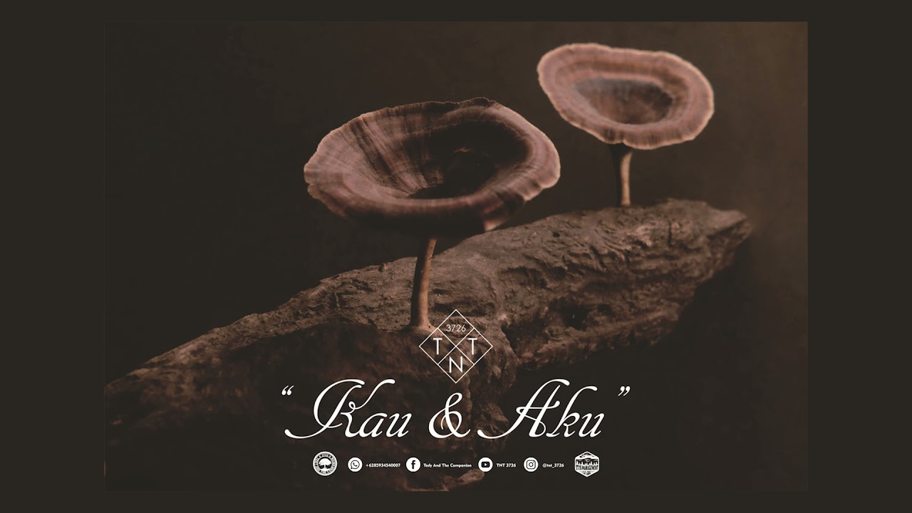 Tedy & The Companion - Pulang (Official Audio)