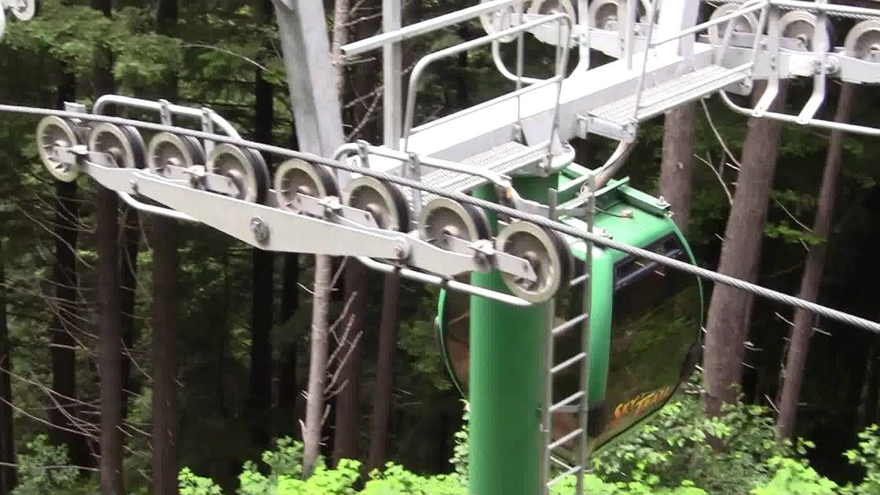 GIANT REDWOOD TREES GONDOLA TO SEE HUGE TREES YouTube