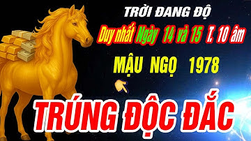 SỰ THẬT LẠNH GÁY Tuổi MẬU NGỌ 1978 đúng 2 ngày tới Tháng 10 âm 2025 TIỀN VỀ TỚI TẤP CỰC GIÀU