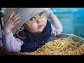 World's very funniest and cutest babies & kids - Compilation of the best...