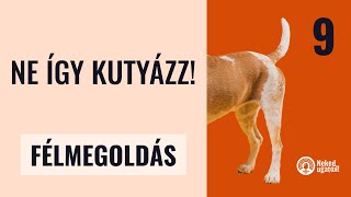 Cesar Millan, The Dog Daddy, Force Free  kimarad a LÉNYEG! | #9