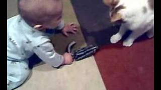 Baby and Cat playing