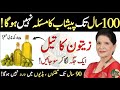 Quotes About lif//Sunheri Golden Words // Hikmat ke baatin/ Rumi Quotes // Best Urdu quotes/quotes