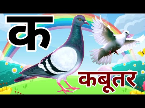 🕊️ क से कबूतर | Hindi Varnamala Song | हिंदी वर्णमाला सीखें 