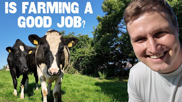 13 Years on the Farm: What’s Changed and What Hasn’t