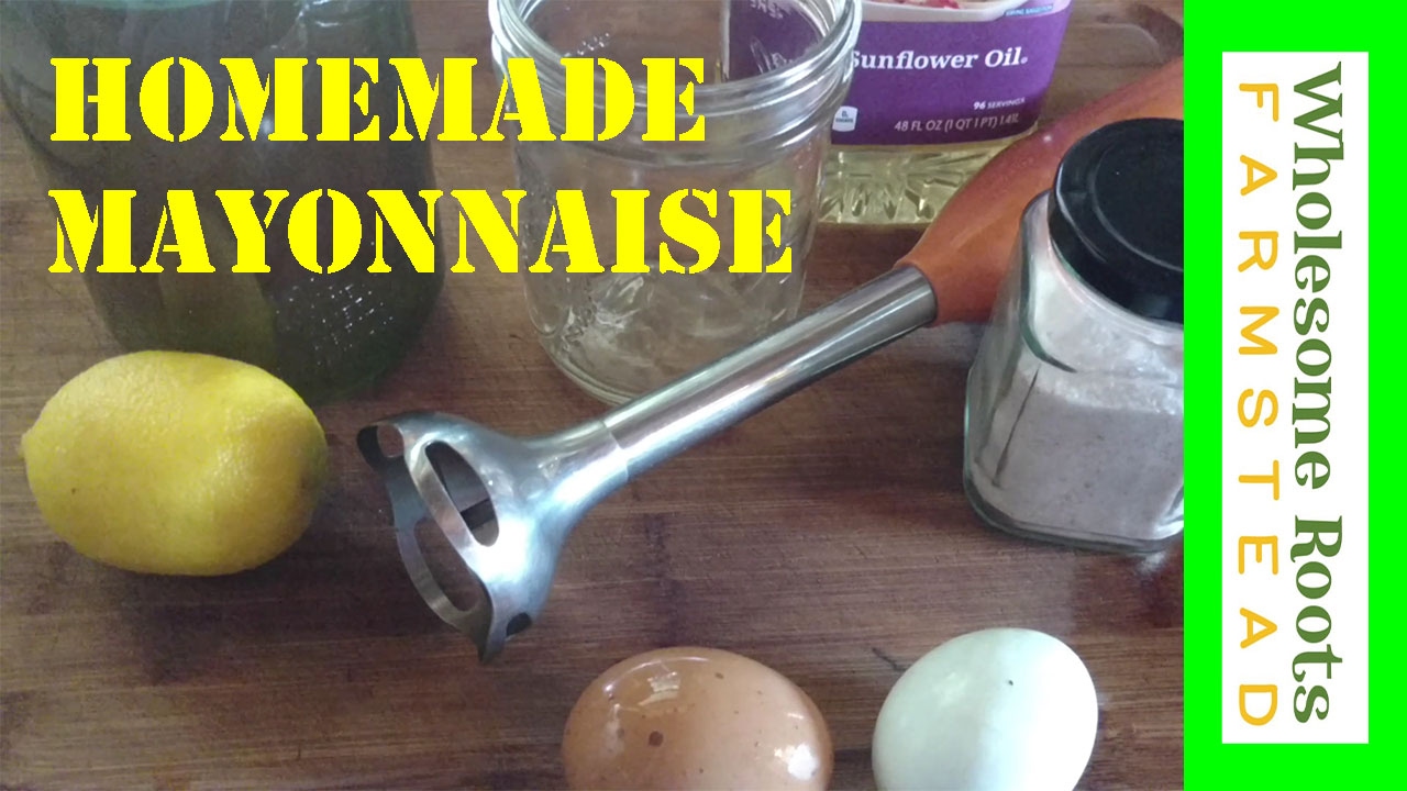 Homemade Lacto-Fermented Mayonnaise!