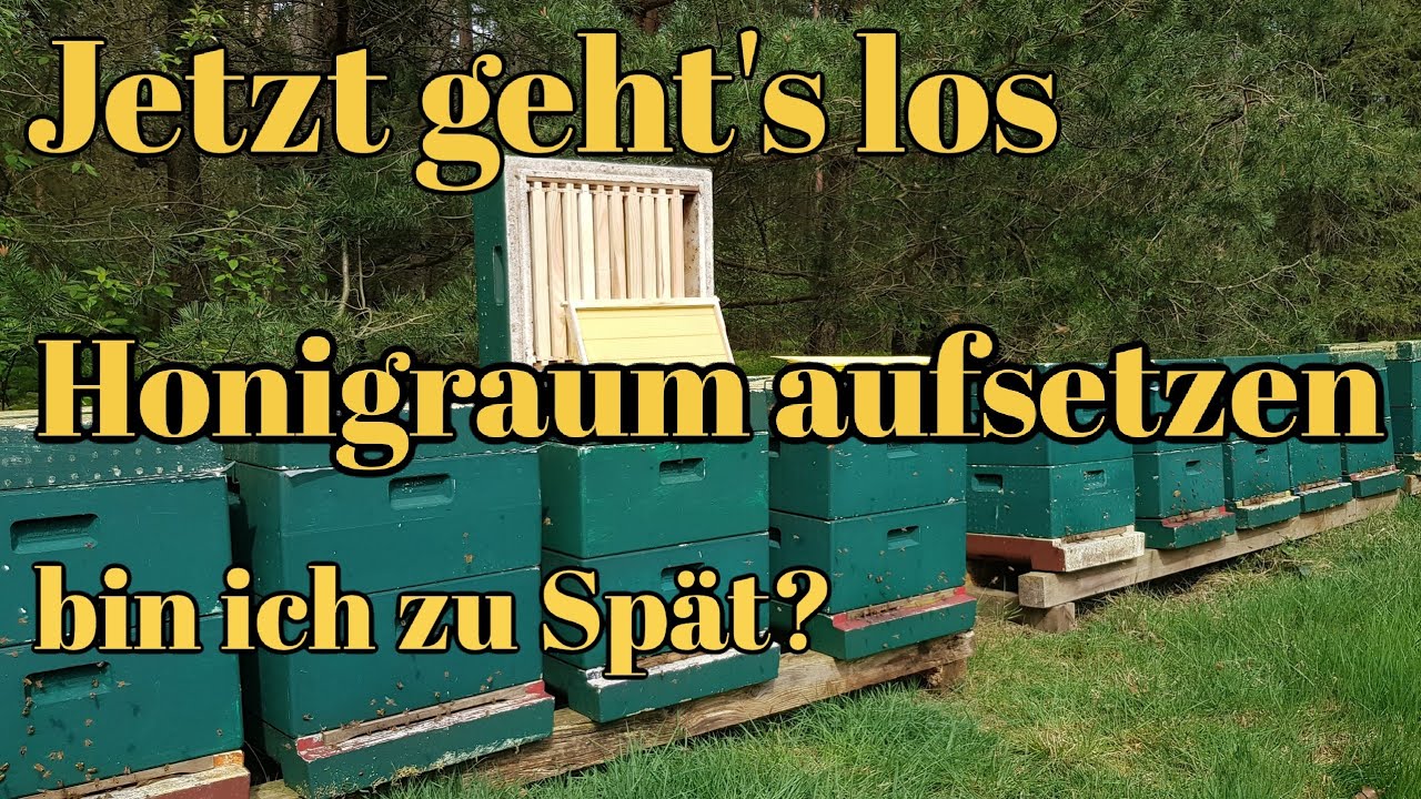 Honigräume Aufsetzen | was muss ich beachten | bin ich zu spät | Imkern im April