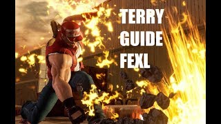 TERRY BOGARD Character Guide: FIGHTING EX Layer