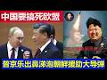 重磅：中国终于下决心要搞死欧盟这帮傻娘们 普京乐出鼻涕泡朝鲜金正恩援助大导弹