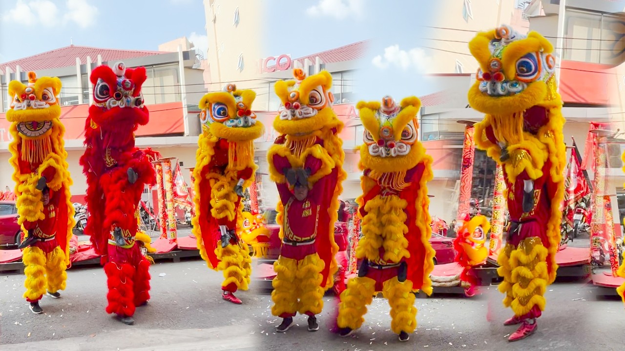 Múa Lân Hay Nhất 2026 LSR Hòa Anh Đường biểu diễn Lân Sư Rồng tại Lễ hội Rằm Tháng Giêng Bình Dương