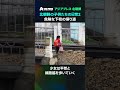 北朝鮮の子供たちの日常２　危険な下校の帰り道