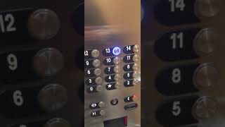 the 13th floor does exist!