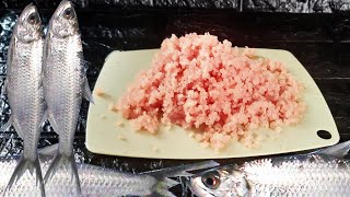 Cara Mengerok Daging Ikan Bulan-Bulan untuk Bahan Amplang