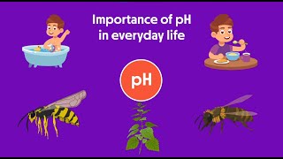 Importance of PH in Everyday Life | Part 14 | Ch. 2 | English | Class 10 screenshot 4