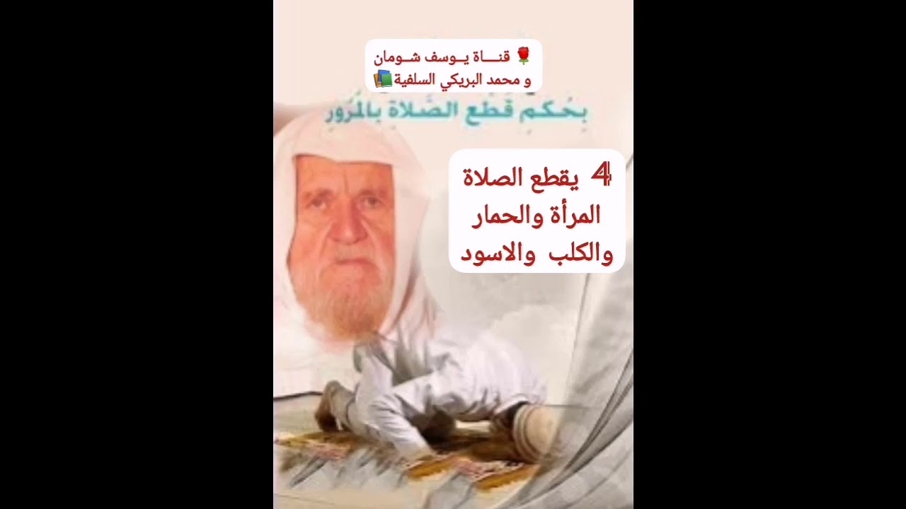 4-366  يقطع الصلاة المرأة والحمار والكلب الأسود.    الألباني - الالباني.  يوسف شومان و محمد البريكي