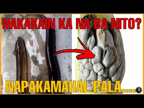 Video: Tansy, Maraming Katangian, Nakapagpapagaling, Nakakain